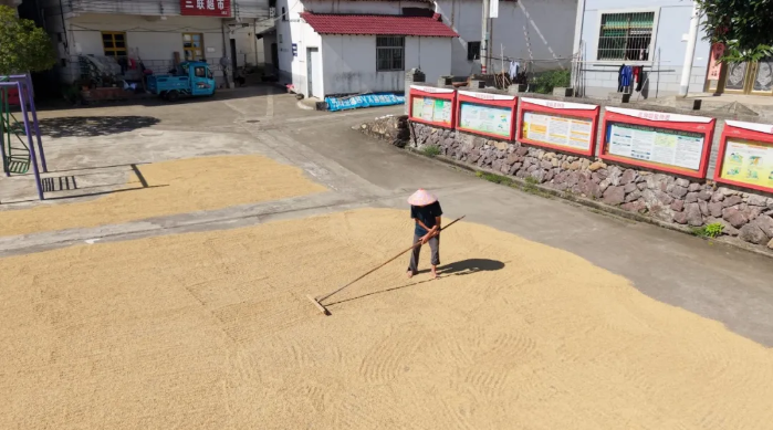 橙讯图片_1761548697136 橙讯图片_1761548697136